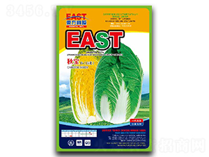 �-�ײ˷N��-�����_