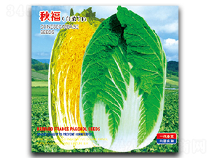 �︣-�ײ˷N��-�����_