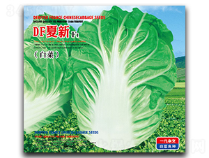 DF����F1���ޣ�-�ײ˷N��-�����_