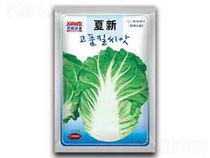 ����-�ײ˷N��-�����_