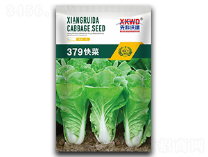 379���-�ײ˷N��-�����_