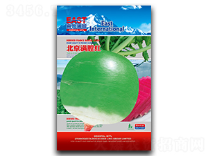 �����M�żt-�}���N��-�����_(d��)