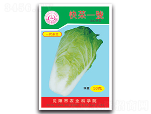 ���һ̖-С�ײ˷N��-�S�r(n��ng)�r(n��ng)�I(y��)