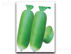 �S�r(n��ng)����-�}���N��-�S�r(n��ng)�r(n��ng)�I(y��)