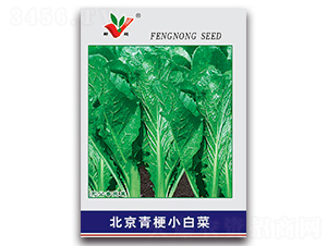 �����๣С�ײ�-�ײ˷N��-�S�r(n��ng)�r(n��ng)�I(y��)