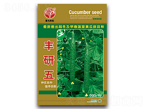 �S����-�S�ϷN��-�S�r(n��ng)�r(n��ng)�I(y��)