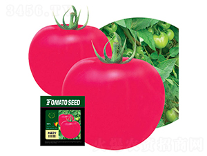 ˮ��3̖-���ѷN��-�S�r(n��ng)�r(n��ng)�I(y��)