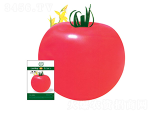 �n�G-���ѷN��-�S�r(n��ng)�r(n��ng)�I(y��)