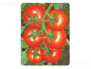 �f��07-���ѷN��-�S�r(n��ng)�r(n��ng)�I(y��)