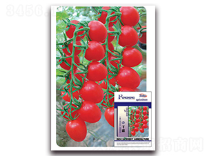 ǧʢ-���ѷN��-�S�r(n��ng)�r(n��ng)�I(y��)