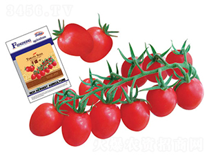 ǧʢ-2-���ѷN��-�S�r(n��ng)�r(n��ng)�I(y��)