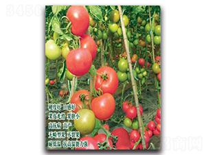 ˮ��-���ѷN��-�S�r(n��ng)�r(n��ng)�I(y��)