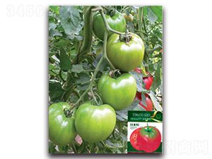 ��˹��-���ѷN��-�S�r(n��ng)�r(n��ng)�I(y��)