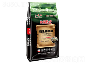 �S�����΢�������-�����Z-�Մ�(chu��ng)