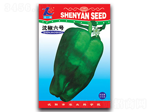 ����̖(h��o)-�����N��-�S�r(n��ng)�r(n��ng)�I(y��)