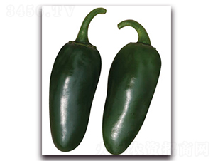 �S�r(n��ng)�۽�-�����N��-�S�r(n��ng)�r(n��ng)�I(y��)