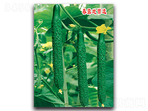 �S�r(n��ng)��-�S�ϷN��-�S�r(n��ng)�r(n��ng)�I(y��)