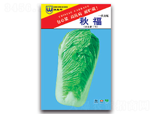 �︣-�ײ˷N��-�S�r(n��ng)�r(n��ng)�I(y��)