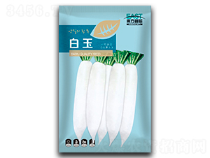 ����-���}���N��-�����_