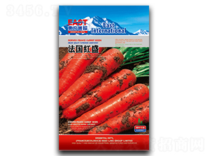 �����tʢ-���}���N��-�����_