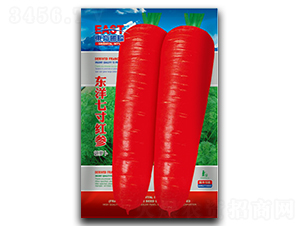 �|���ߴ�t��-���}���N��-�����_