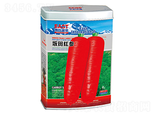 ����t�����ޣ�-���}���N��-�����_(d��)