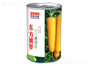 �|���S�����ޣ�-���}���N��-�����_(d��)