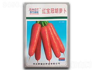 �t���ں��}��-���}���N��-�����_(d��)