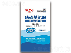 26%�����������������-�P������