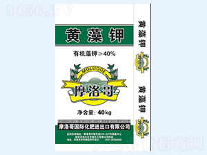 40%Ħ��纣���-���R��