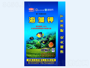 ��һ�����Ϻ����-���R��