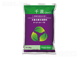 ��ø���܏�(f��)���ʹ���Ԫ��ˮ�ܷ�21-21-21+TE-ǧ��-�A�����r(n��ng)