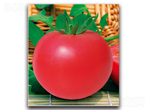 ؐ��-���ѷN��-�����r(n��ng)