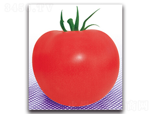 �۵�-���ѷN��-�����r(n��ng)