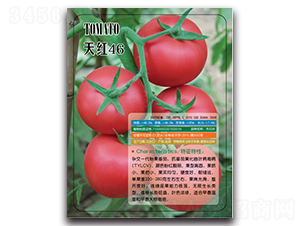 ��t46-���ѷN��-�����r(n��ng)