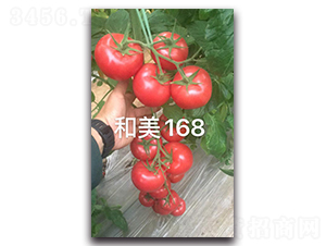 ����168-���ѷN��-�����r(n��ng)