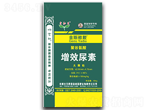 �۹Ȱ�����Ч���أ����w����-��˹�Ŵ�-��Ͳ�