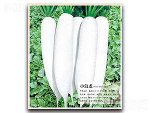 С����-�}���N��-�����r(n��ng)