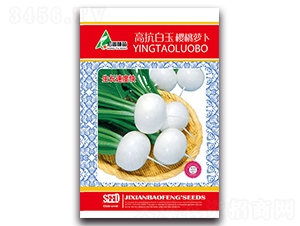 �߿���������}��-�}���N��-�����r(n��ng)