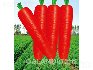 �|�����-���}���N��-�W�m��