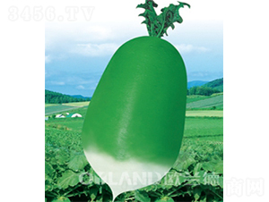 ����������-�}���N��-�W�m��