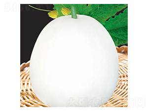 �_������-��ϷN��-�W�m��