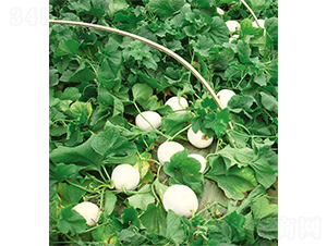 �_������-��ϷN��-�W�m��