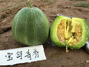 ���u����-��ϷN��-�W�m��