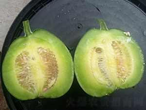 ���u����2̖-��ϷN��-�W�m��