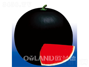 �����r(n��ng)�l(f��)30-���ϷN��-�W�m��