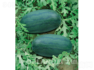 �_���ش������-���ϷN��-�W�m��