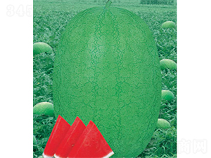 �G֮��-���ϷN��-�W�m��