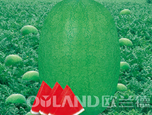 �G֮��-���ϷN��-�W�m��