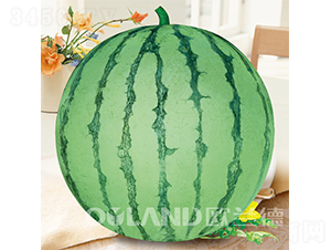 ���84-24-���ϷN��-�W�m��